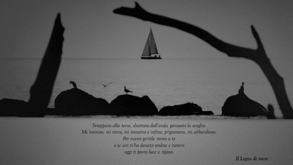 Appartamento Il Legno Di Mare La Spezia Ngoại thất bức ảnh